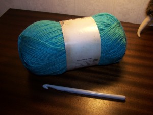 Crochet Hook and Wool