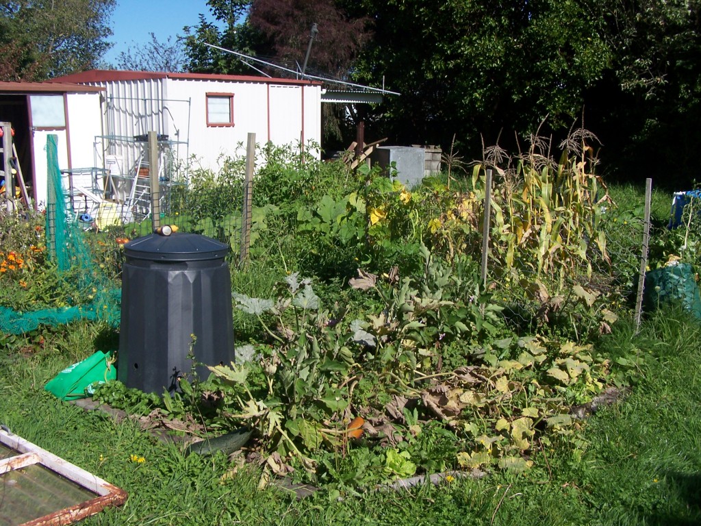 Our Chaotic Garden