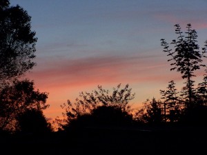 Sunset