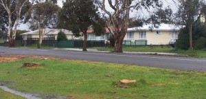 Cascading Waterfall along driveways Yay for unmaintained council drains