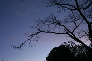 Dusk